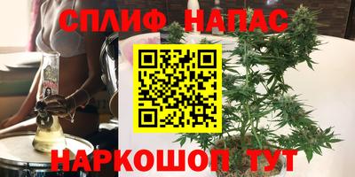 гашик Чапаевск