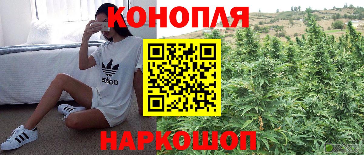 МАРИХУАНА семена Мурманск